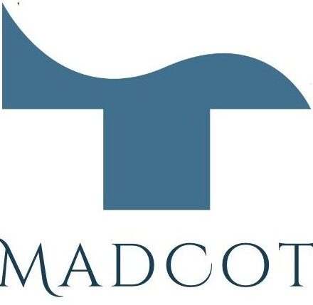 traumatologosmadrid.es